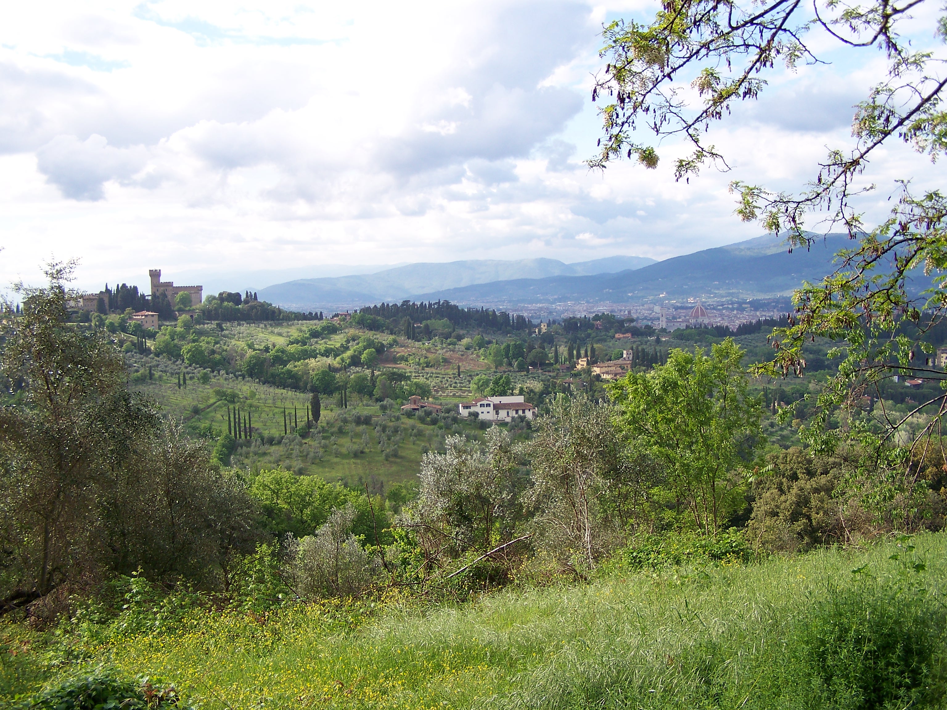photo.jpg